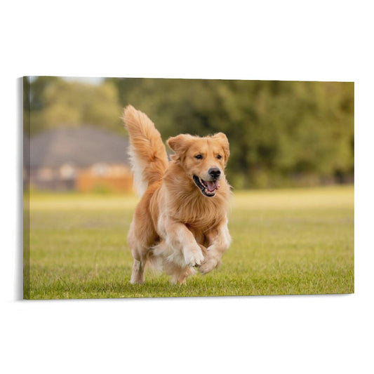 Custom Canvas Prints With Your Photo (Horizontal)