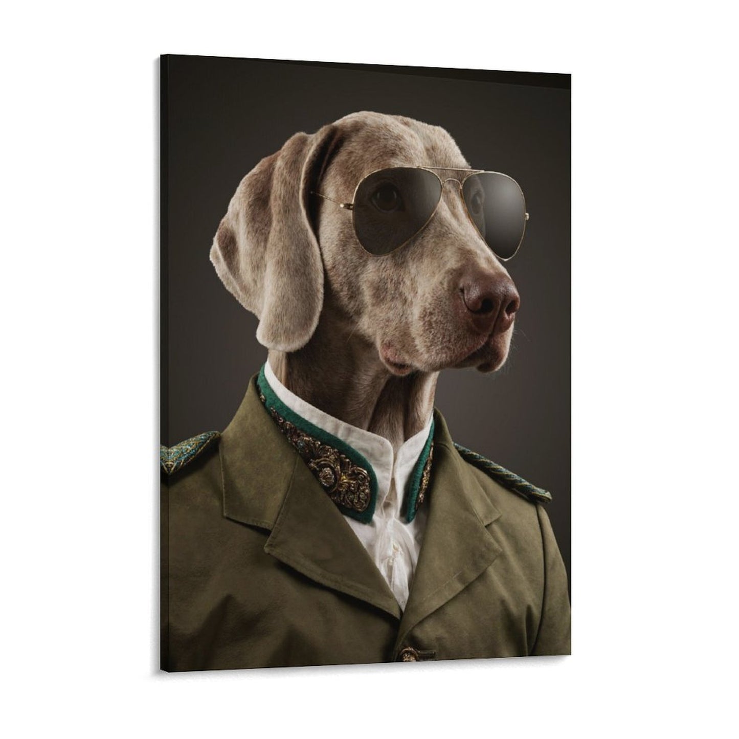 The Admiral - Custom Pet Portrait With Your Photo